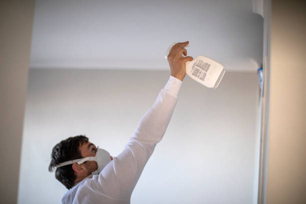 Best Office Mold Removal Services  in Benton, TN