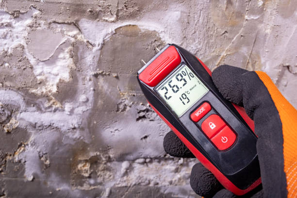 Best Crawl Space Mold Removal  in Benton, TN