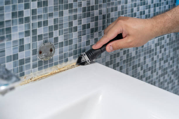 Best Mold Removal Process  in Benton, TN