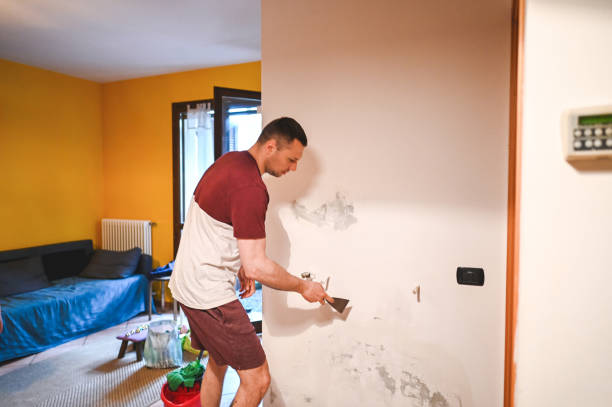 Reliable Benton, TN Mold Removal Solutions